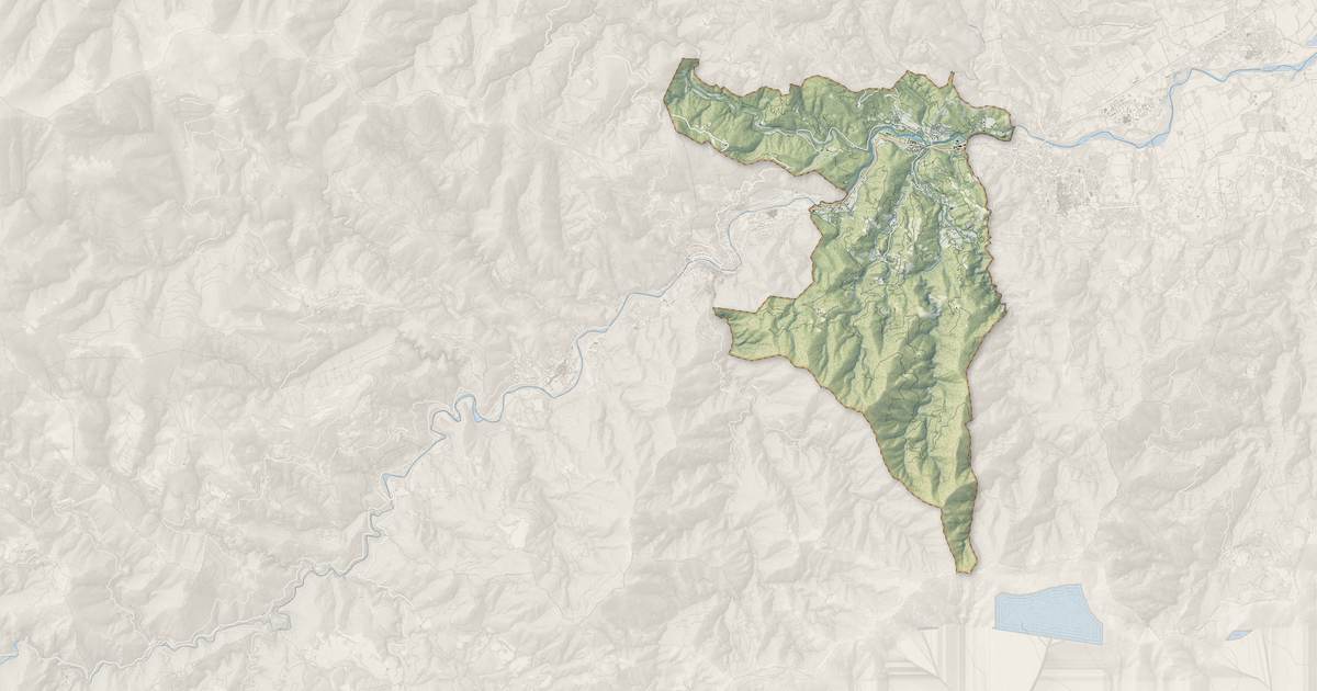 Portrait cartographique de Reynès : relief, eau, forêts, bâti et voies, calculés à partir des données de l'IGN