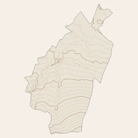 Saint-André : courbes de niveau