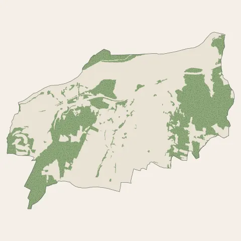 Vinça : bois, forêts et landes