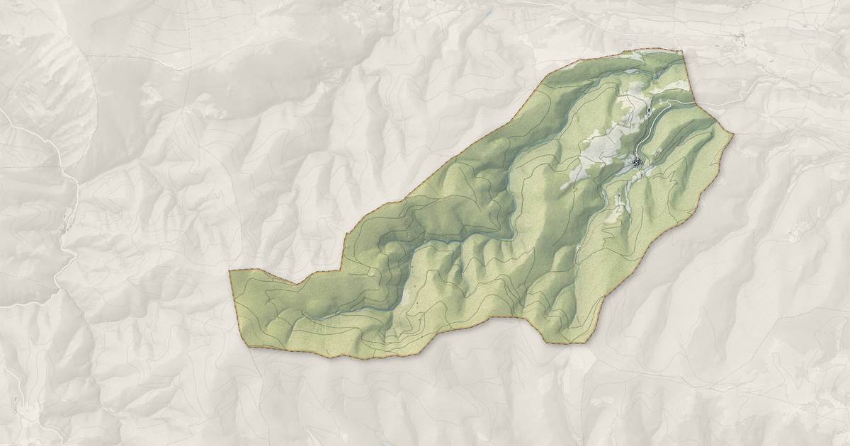 Portrait cartographique de Vira : relief, eau, forêts, bâti et voies, calculés à partir des données de l'IGN