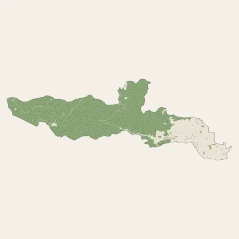 Barr : bois, forêts et landes