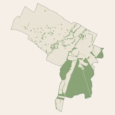Benfeld : bois, forêts et landes