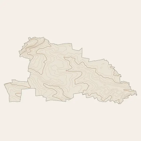 Berstett : courbes de niveau