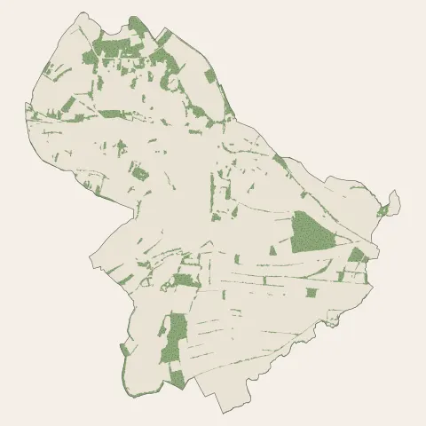 Bischwiller : bois, forêts et landes