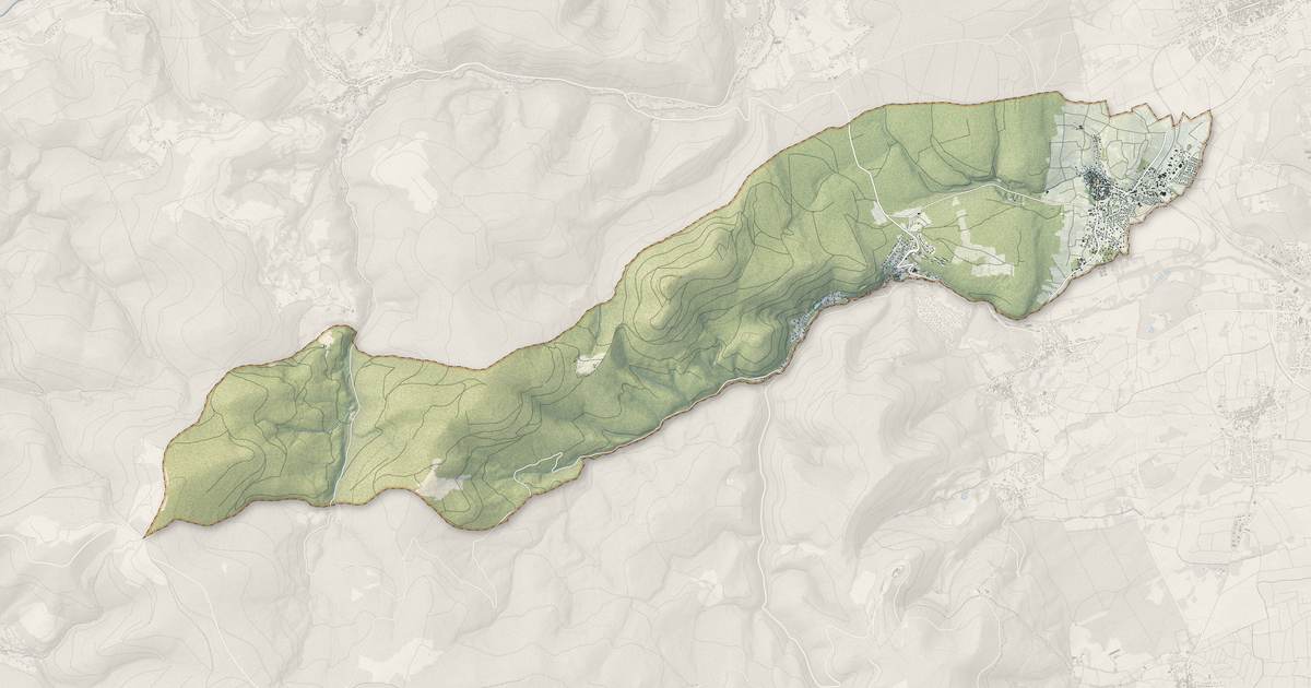 Portrait cartographique de Bœrsch : relief, eau, forêts, bâti et voies, calculés à partir des données de l'IGN