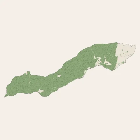 Bœrsch : bois, forêts et landes