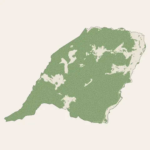 La Broque : bois, forêts et landes