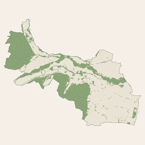 Châtenois : bois, forêts et landes