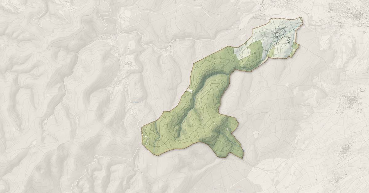 Portrait cartographique de Cosswiller : relief, eau, forêts, bâti et voies, calculés à partir des données de l'IGN