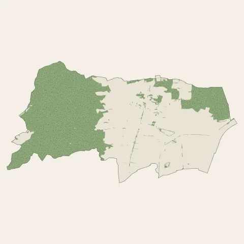 Dambach-la-Ville : bois, forêts et landes