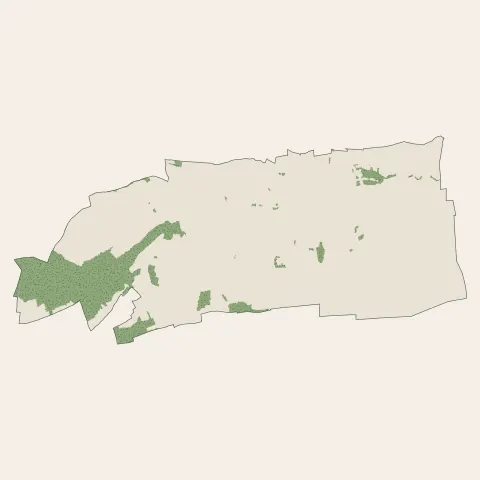 Dorlisheim : bois, forêts et landes