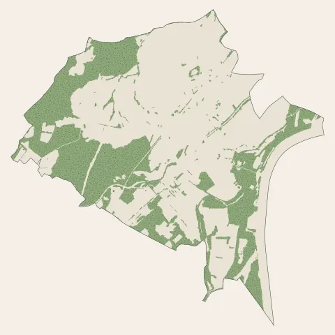 Drusenheim : bois, forêts et landes