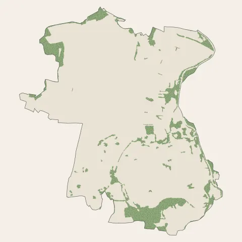 Fegersheim : bois, forêts et landes