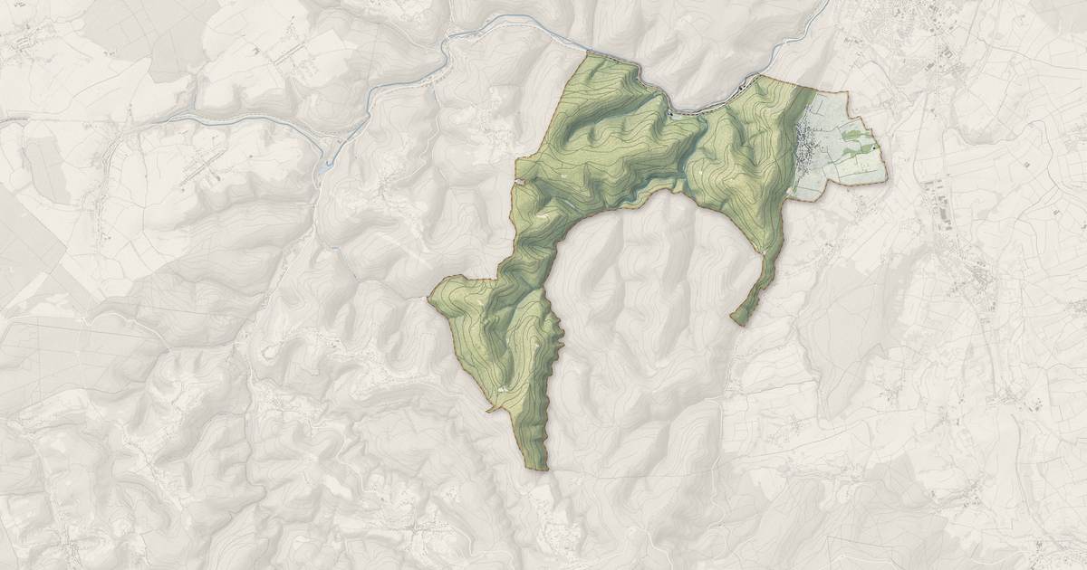 Portrait cartographique de Haegen : relief, eau, forêts, bâti et voies, calculés à partir des données de l'IGN