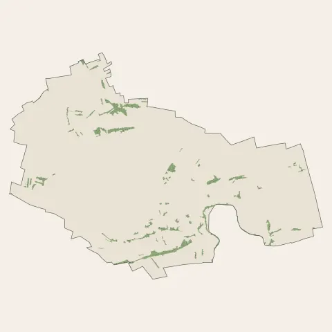 Lampertheim : bois, forêts et landes