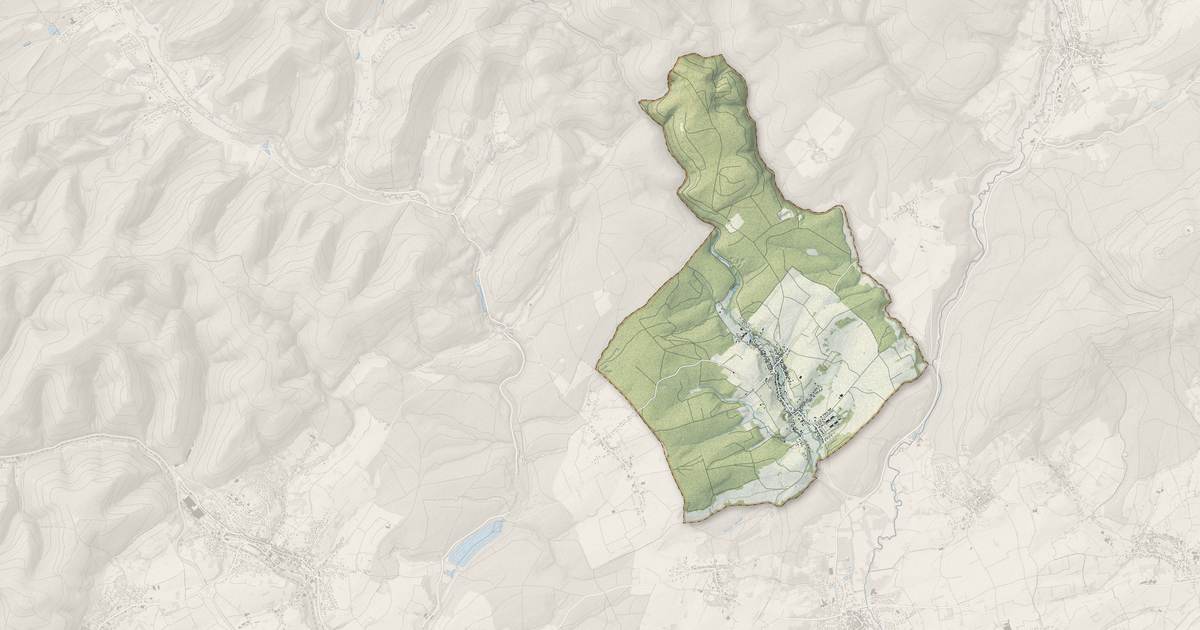 Portrait cartographique de Langensoultzbach : relief, eau, forêts, bâti et voies, calculés à partir des données de l'IGN