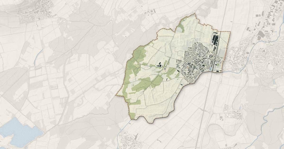 Portrait cartographique de Lipsheim : relief, eau, forêts, bâti et voies, calculés à partir des données de l'IGN
