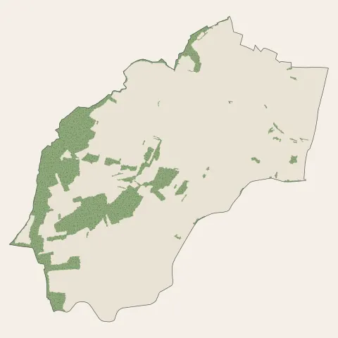 Lipsheim : bois, forêts et landes