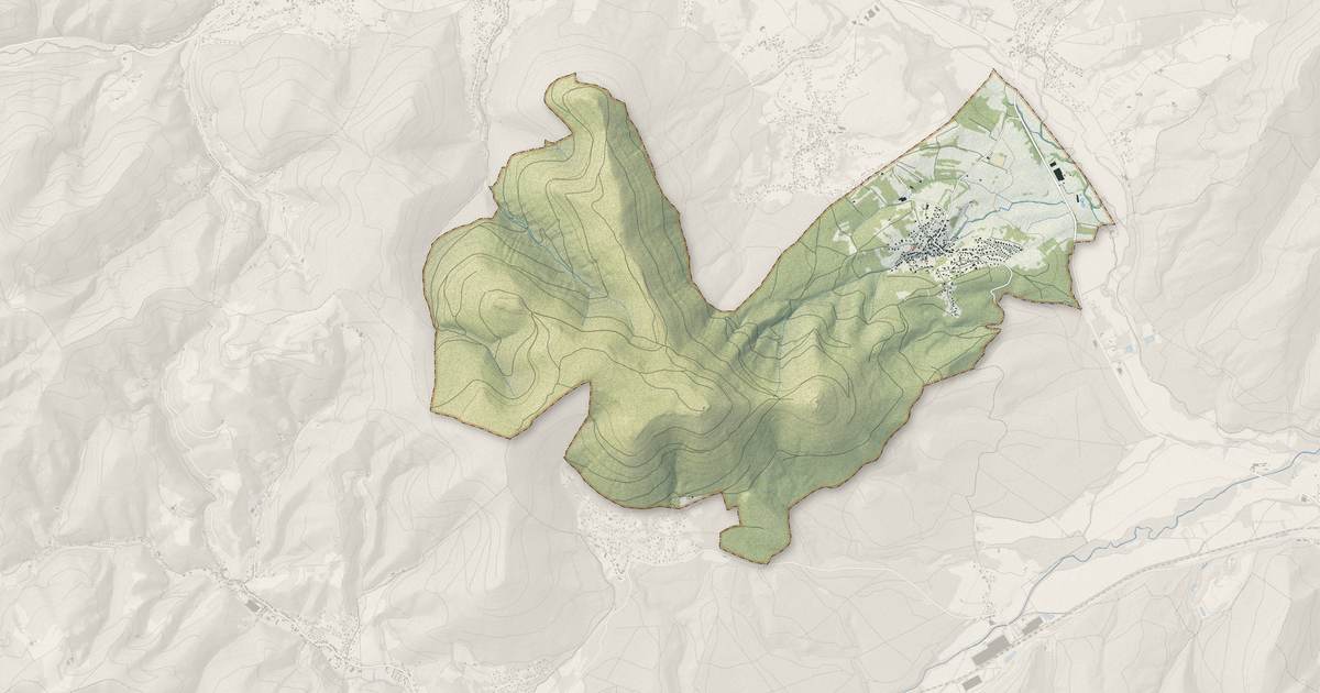 Portrait cartographique de Neubois : relief, eau, forêts, bâti et voies, calculés à partir des données de l'IGN