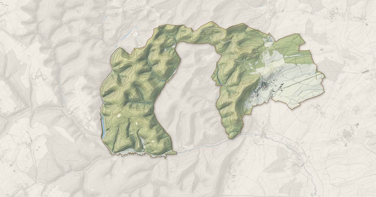 Portrait cartographique de Neuwiller-lès-Saverne : relief, eau, forêts, bâti et voies, calculés à partir des données de l'IGN