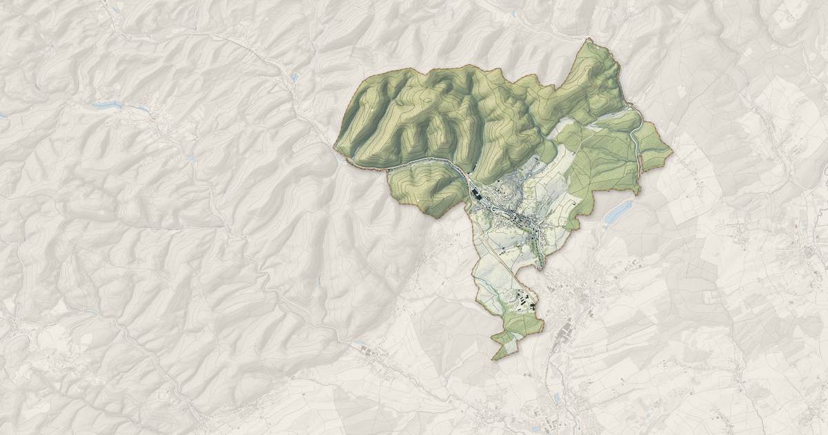 Portrait cartographique de Niederbronn-les-Bains : relief, eau, forêts, bâti et voies, calculés à partir des données de l'IGN