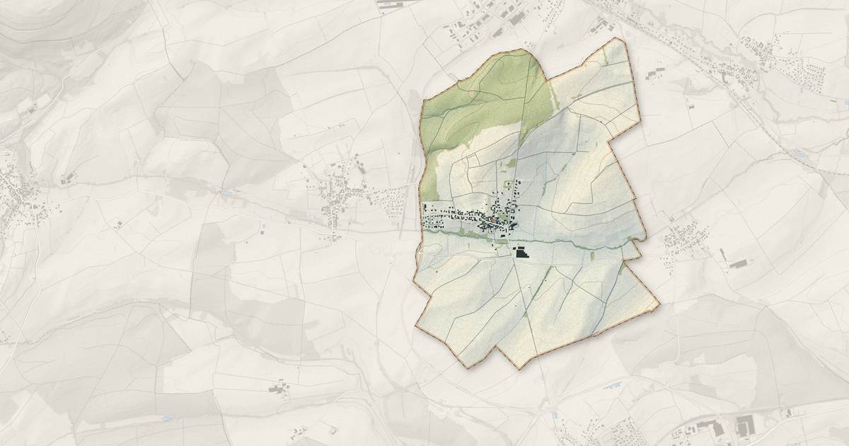 Portrait cartographique de Niedersoultzbach : relief, eau, forêts, bâti et voies, calculés à partir des données de l'IGN