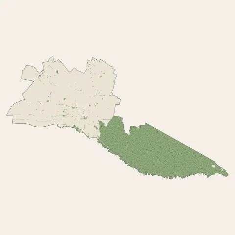 Betschdorf : bois, forêts et landes
