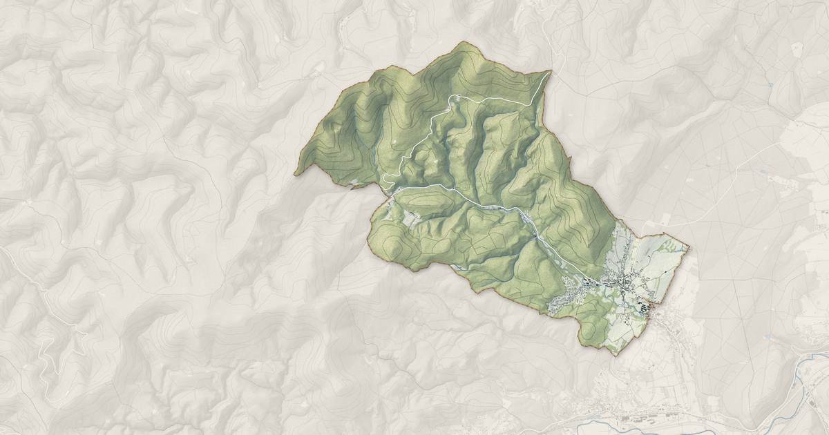Portrait cartographique de Oberhaslach : relief, eau, forêts, bâti et voies, calculés à partir des données de l'IGN