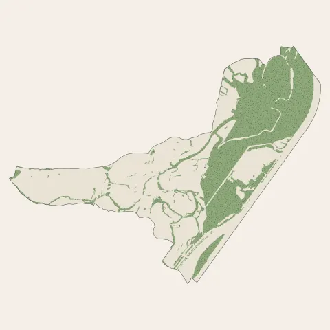 Offendorf : bois, forêts et landes