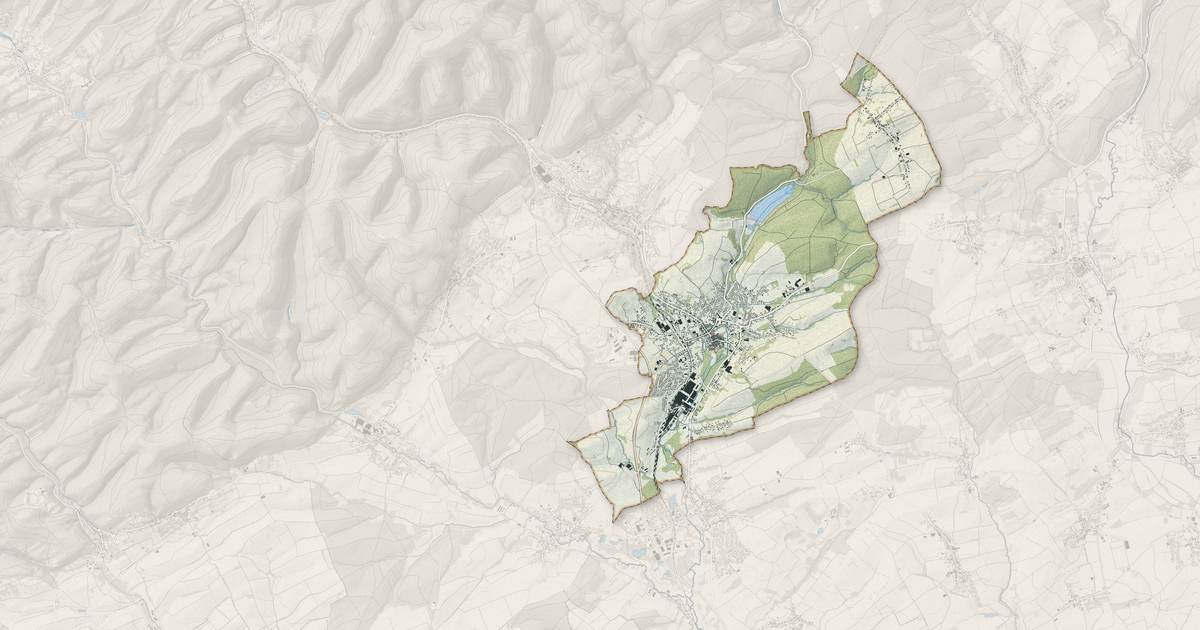 Portrait cartographique de Reichshoffen : relief, eau, forêts, bâti et voies, calculés à partir des données de l'IGN