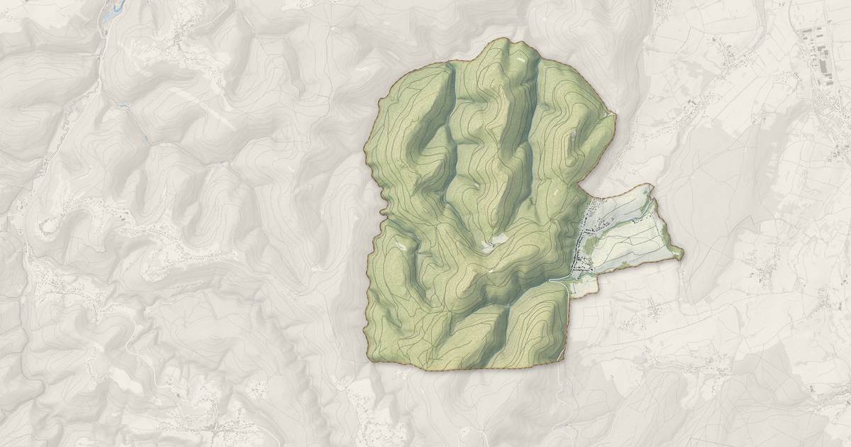Portrait cartographique de Reinhardsmunster : relief, eau, forêts, bâti et voies, calculés à partir des données de l'IGN