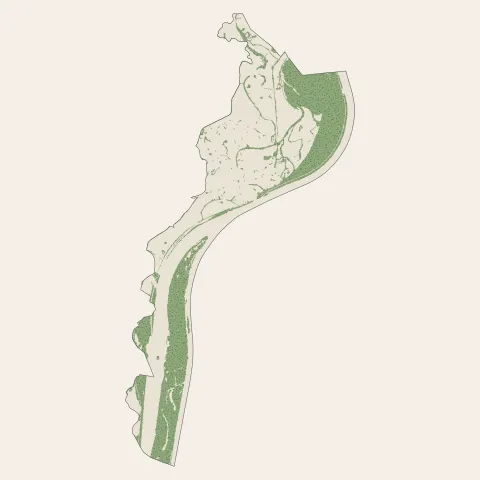 Rhinau : bois, forêts et landes