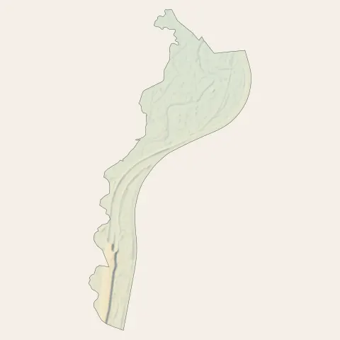 Rhinau : relief