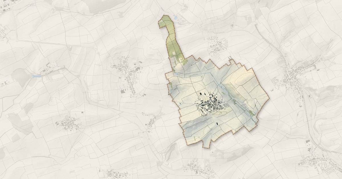 Portrait cartographique de Ringendorf : relief, eau, forêts, bâti et voies, calculés à partir des données de l'IGN