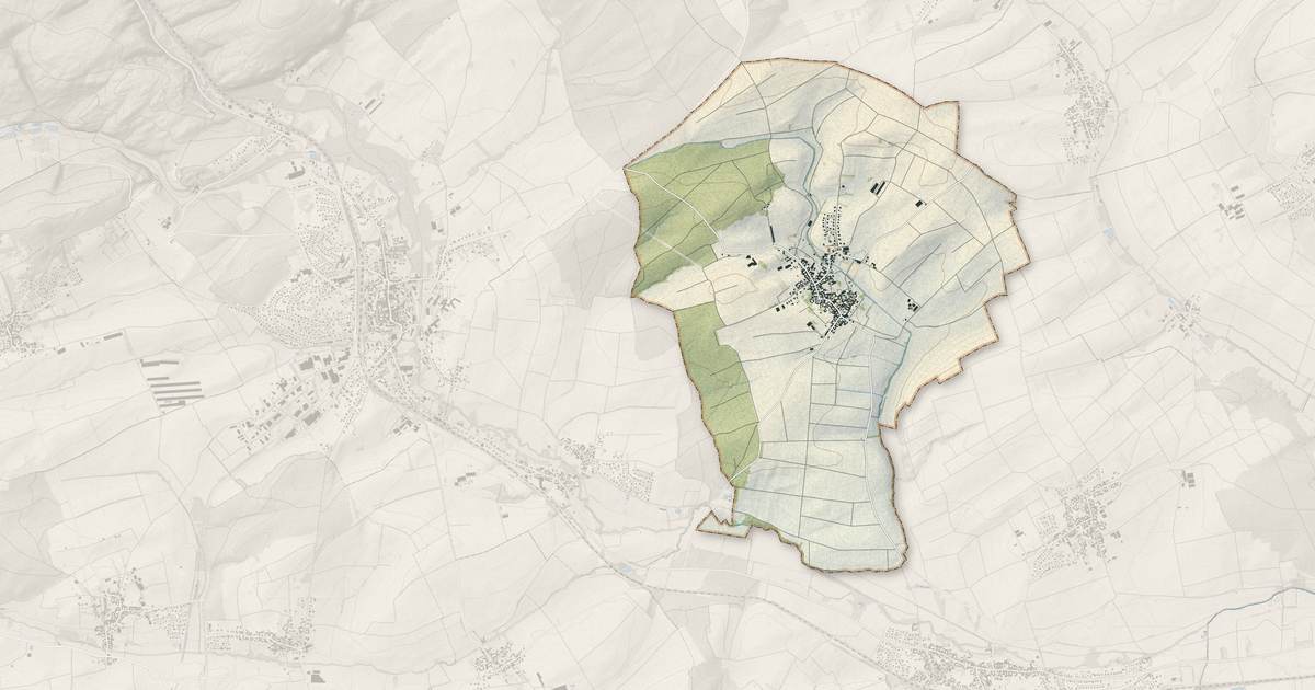 Portrait cartographique de Schillersdorf : relief, eau, forêts, bâti et voies, calculés à partir des données de l'IGN