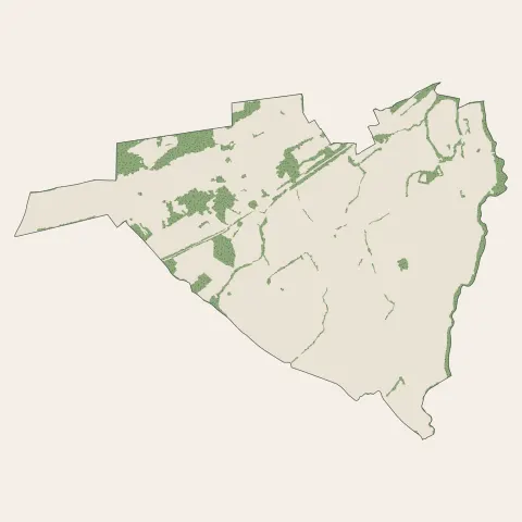 Schirrhein : bois, forêts et landes