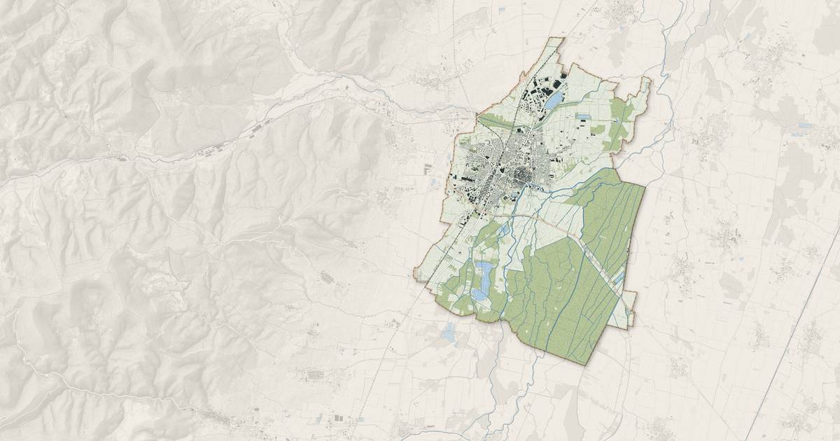 Portrait cartographique de Sélestat : relief, eau, forêts, bâti et voies, calculés à partir des données de l'IGN