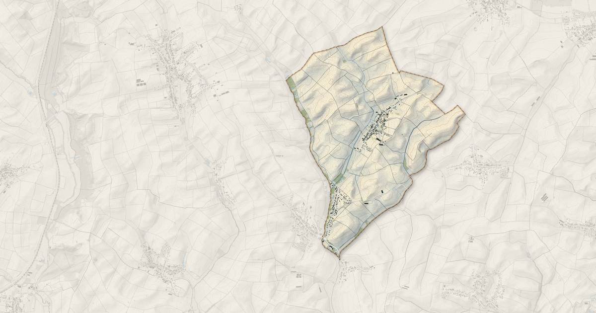Portrait cartographique de Siegen : relief, eau, forêts, bâti et voies, calculés à partir des données de l'IGN