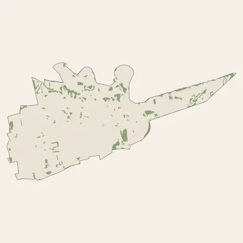 Souffelweyersheim : bois, forêts et landes