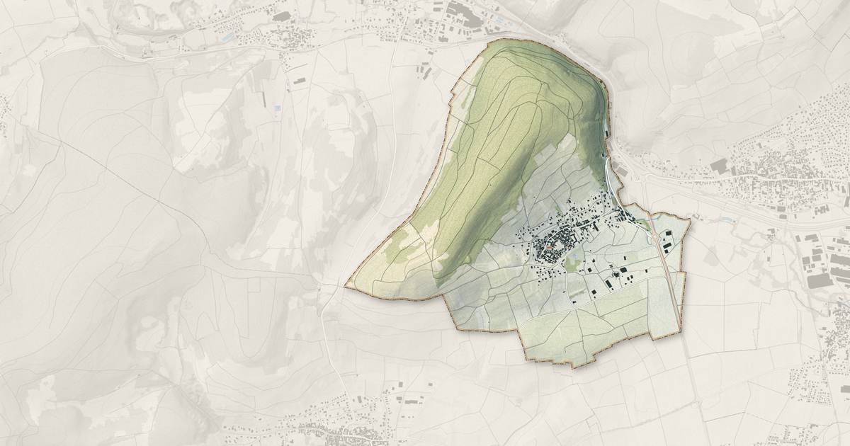 Portrait cartographique de Wangen : relief, eau, forêts, bâti et voies, calculés à partir des données de l'IGN