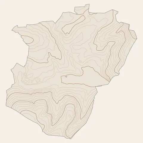 Wasselonne : courbes de niveau