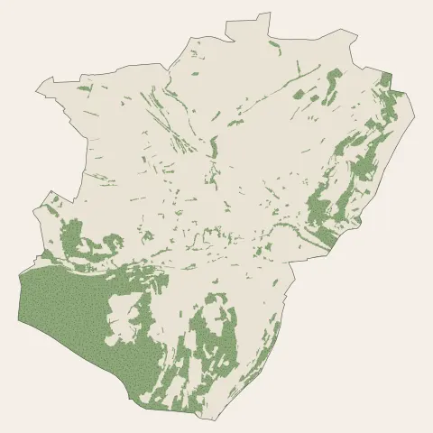 Wasselonne : bois, forêts et landes