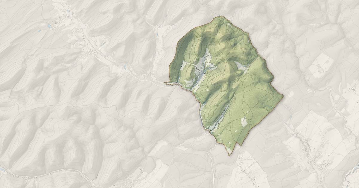 Portrait cartographique de Windstein : relief, eau, forêts, bâti et voies, calculés à partir des données de l'IGN