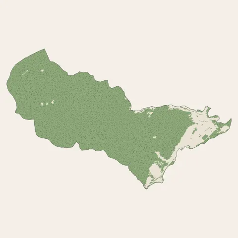Wisches : bois, forêts et landes