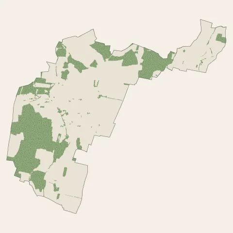 Wittisheim : bois, forêts et landes