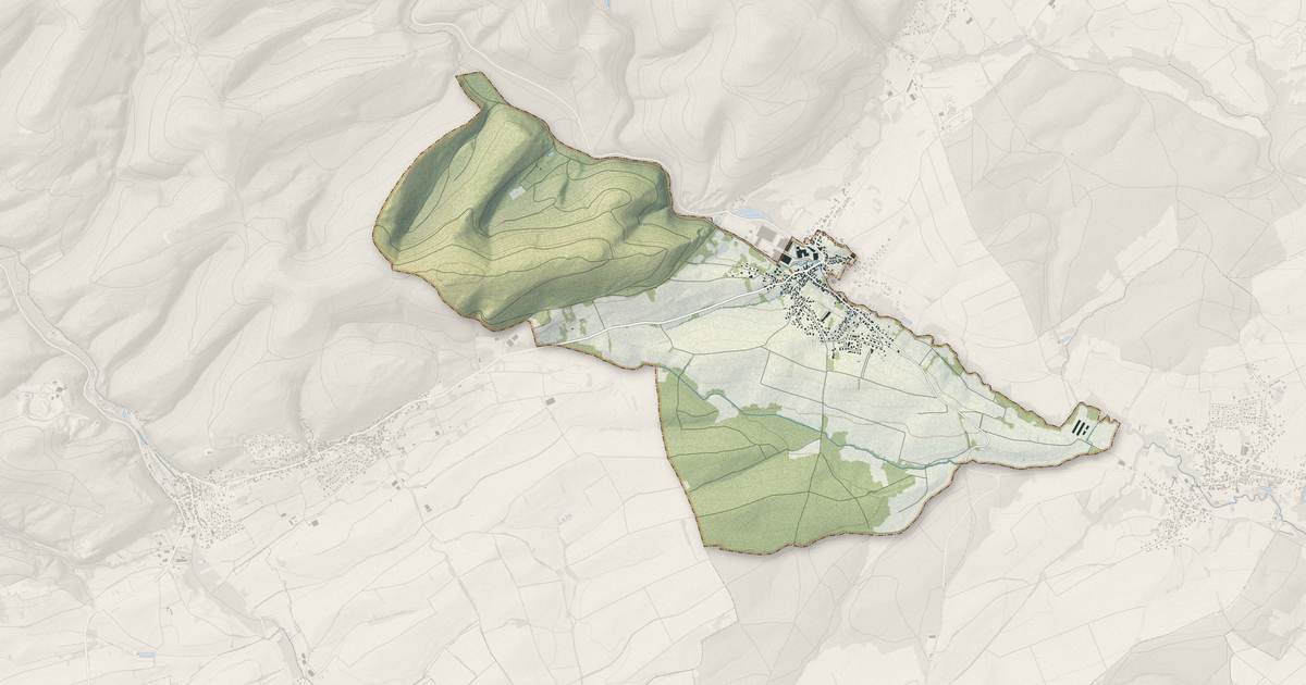 Portrait cartographique de Zinswiller : relief, eau, forêts, bâti et voies, calculés à partir des données de l'IGN