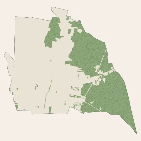 Andolsheim : bois, forêts et landes
