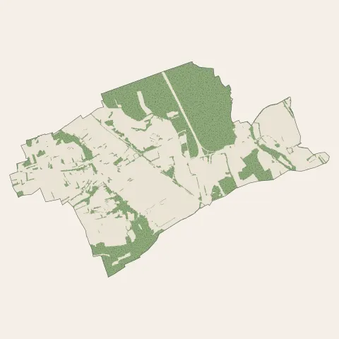 Bartenheim : bois, forêts et landes