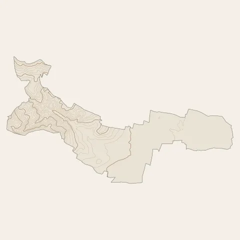 Bergheim : courbes de niveau