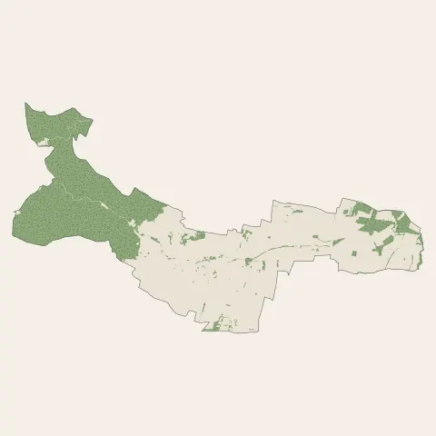 Bergheim : bois, forêts et landes